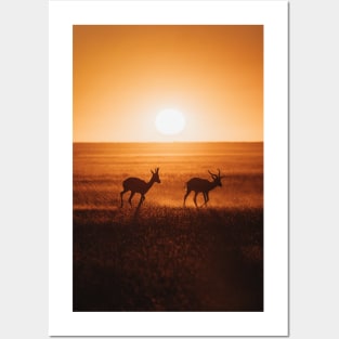 Safari Sunset Posters and Art